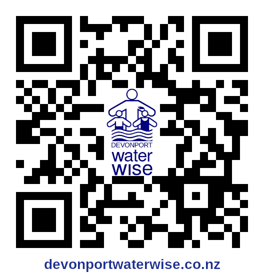 dsww home page QR code